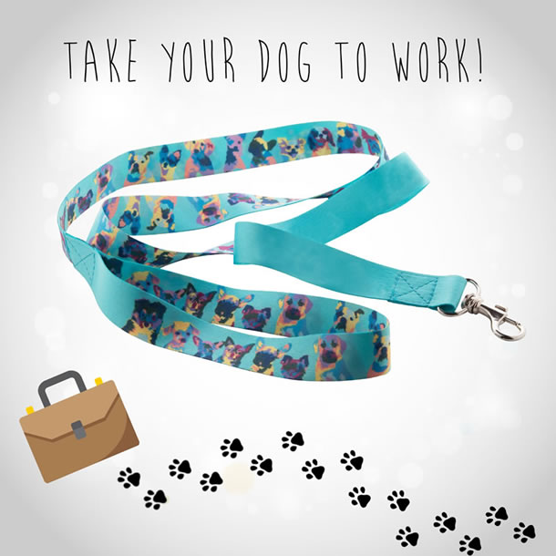 Oggi è il "Take to work your dog"!⁠ Non lasciare a casa il tuo fidato amico a quattro zampe, con il guinzaglio BRUNO potrai portarlo a spasso fino al lavoro con te, ed è anche personalizzabile!⁠ ⁠