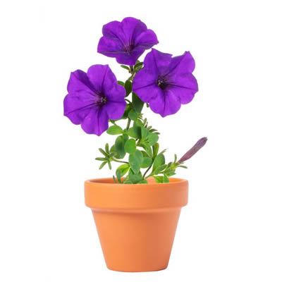 Gadget giardinaggio personalizzati