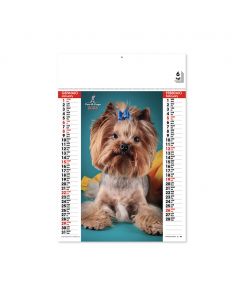 CATS DOGS - calendario da parete