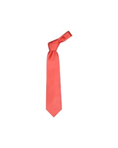 COLOURS - cravatta