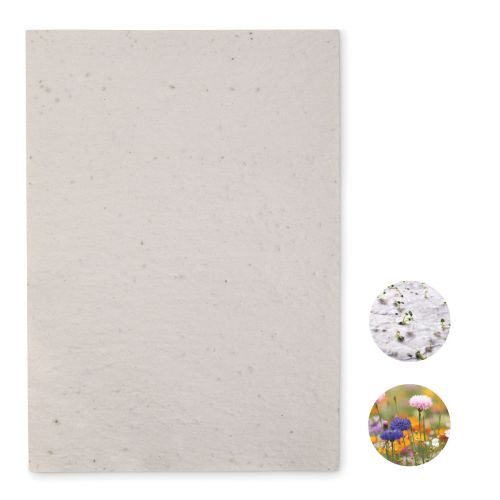 ASIDI - Foglio a4 in carta con semi