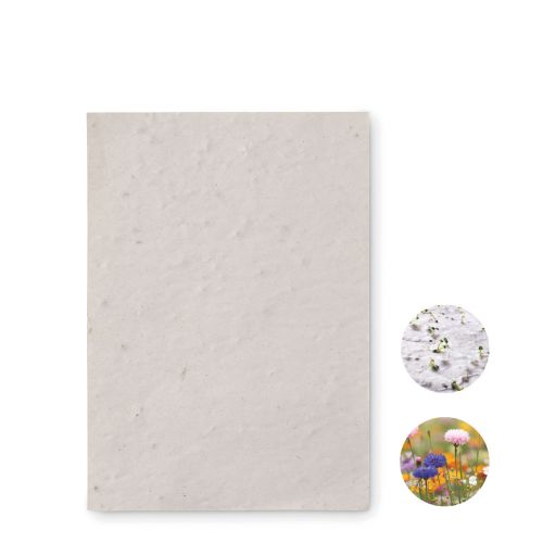 ASIDO - Foglio a6 in carta con semi