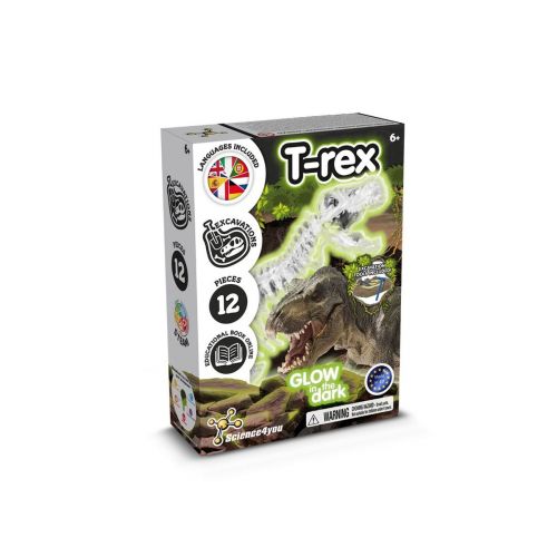 FOSSIL EXCAVATION KIT I - Gioco educativo per bambini