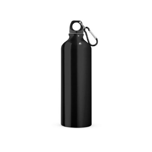 LANDSCAPE L - Borracce sportive in alluminio con moschettone 800 mL