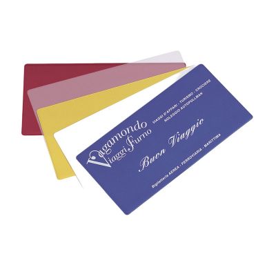 TRAVEL FILE - busta porta biglietti
