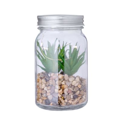 KYALA - Pianta Decorativa