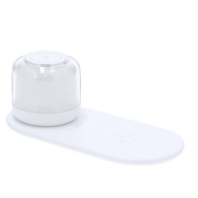 REGINAL - Lampada Caricatore