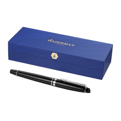 EXPERT - Waterman penna stilografica