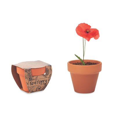 RED POPPY - Semi di papavero