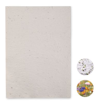 ASIDI - Foglio a4 in carta con semi