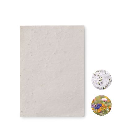 ASIDO - Foglio a6 in carta con semi