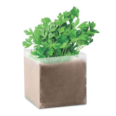 PARSELY - Semi di prezzemolo