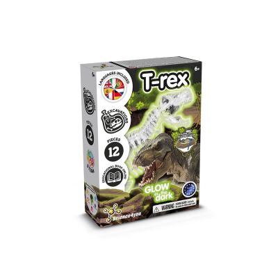 FOSSIL EXCAVATION KIT I - Gioco educativo per bambini