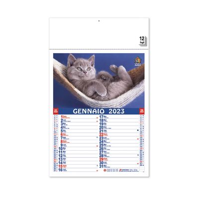 PET - calendari cani e gatti