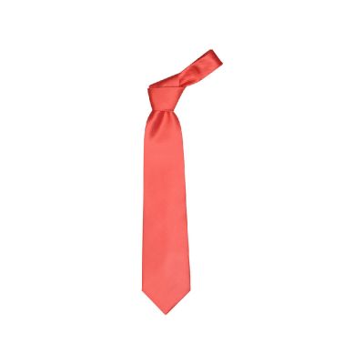 COLOURS - cravatta