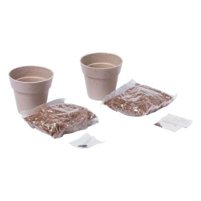 NERTEL - set piante