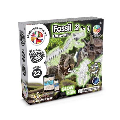2 IN 1 FOSSIL EXCAVATION KIT II - Gioco educativo fornito con un sacchetto regalo in carta kraft (90 g/m²)