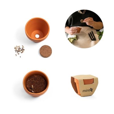 MENTHA - Vaso in terracotta con semi di menta