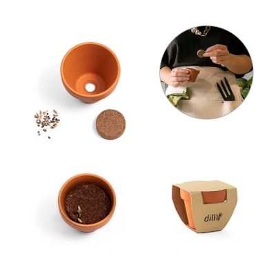 ANETHUM - Vaso in terracotta con semi di aneto